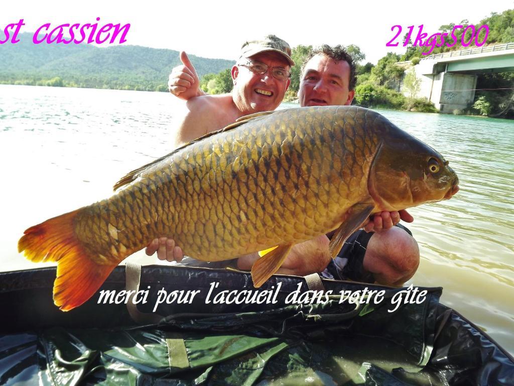 Gite De Saint Cassien Montauroux Exteriör bild