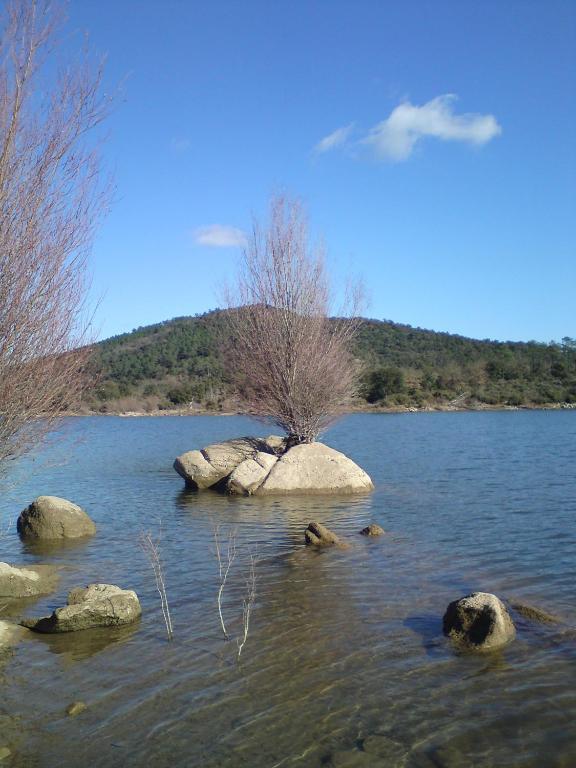 Gite De Saint Cassien Montauroux Exteriör bild